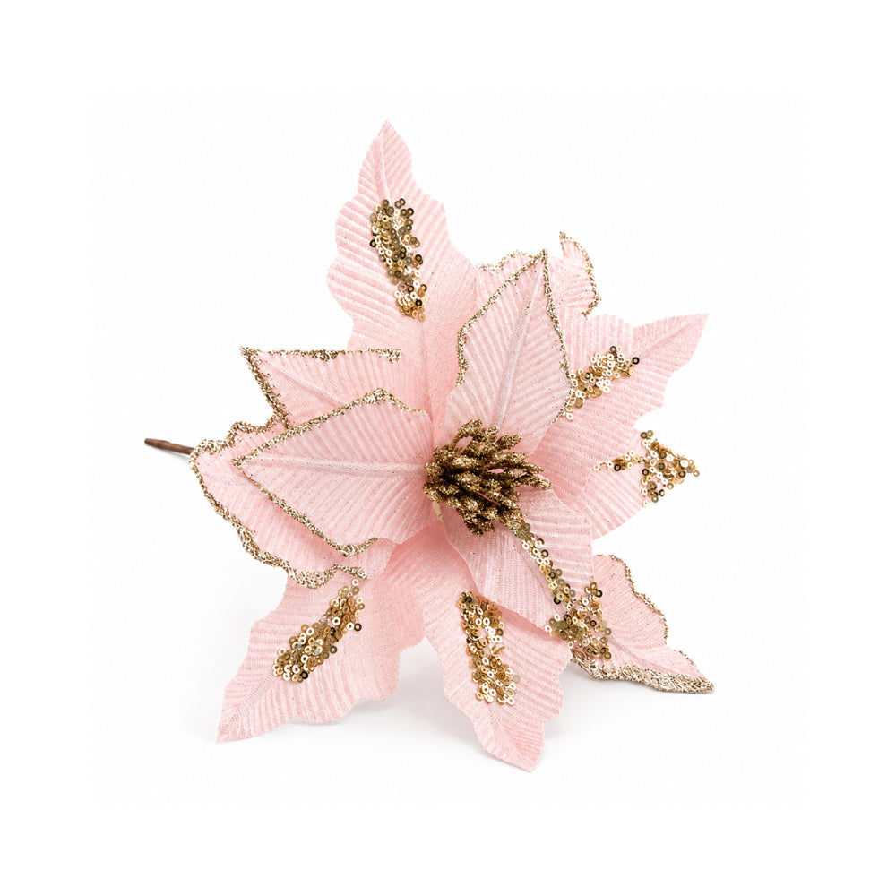 Plum Pudding Christmas Poinsettias 4pk Blush